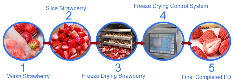Strawberry-Freeze-Drying.jpg