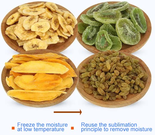 Freeze-drying-principle-.jpg