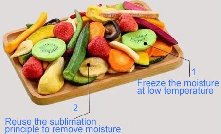 Fruit freeze-drying.jpg