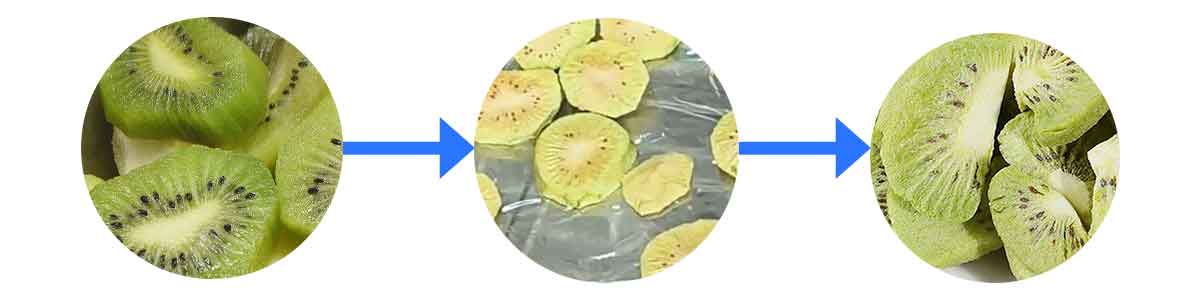 kiwi-fruit-freeze-drying.jpg