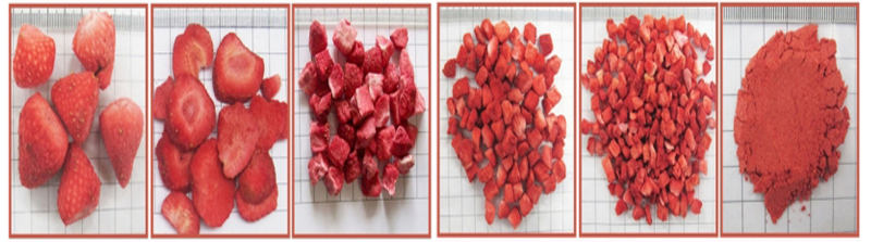 Strawberry Freeze Drying.jpg