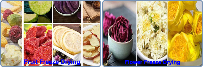 Commercial Freeze Drying Products.jpg